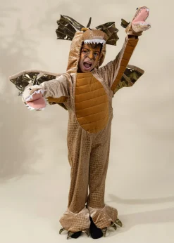 Coco Village Dragon Costume