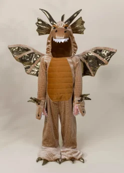 Coco Village Dragon Costume