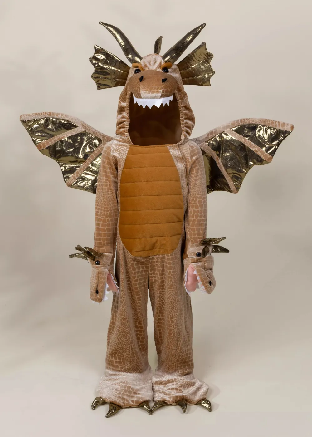 Coco Village Dragon Costume