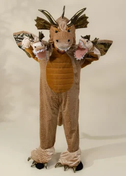 Coco Village Dragon Costume
