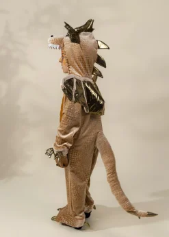 Coco Village Dragon Costume
