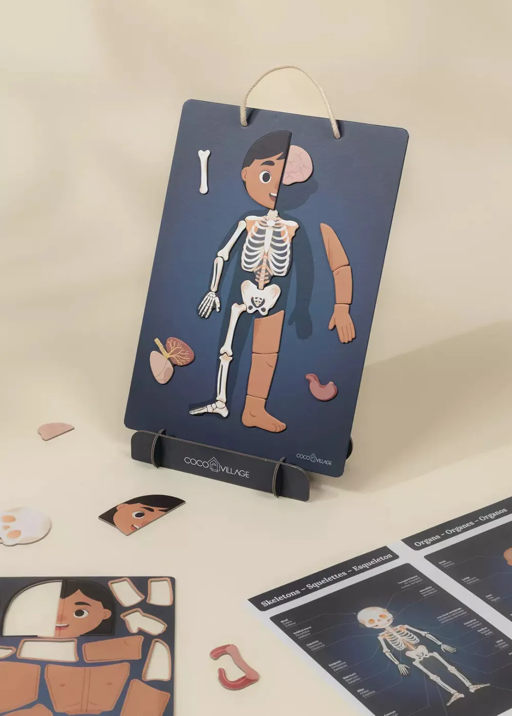 Coco Village Magnetic Interactive Board – My Body