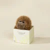 Coco Village Mini Gift Plush Toy - Brown Monkey