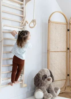 Coco Village Montessori 2-in-1 Triangle & Wall Climber