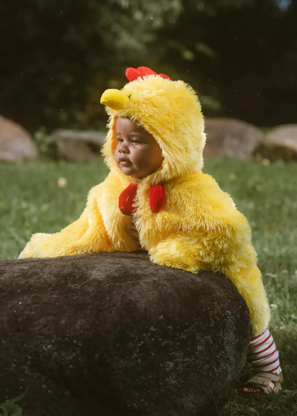 Coco Village My First Rooster Cape Costume