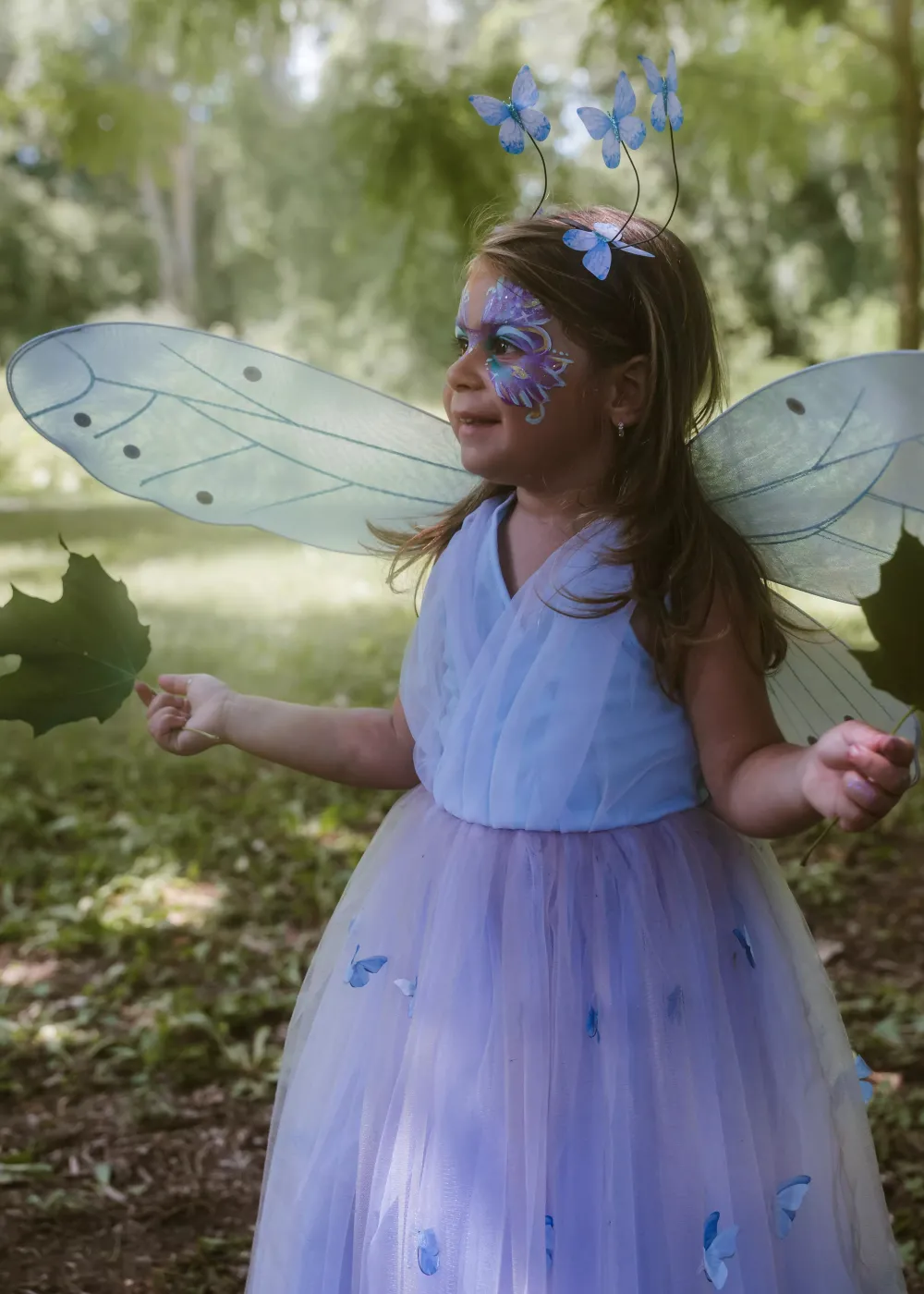 Coco Village Princess Butterfly Dress, Wings & Head