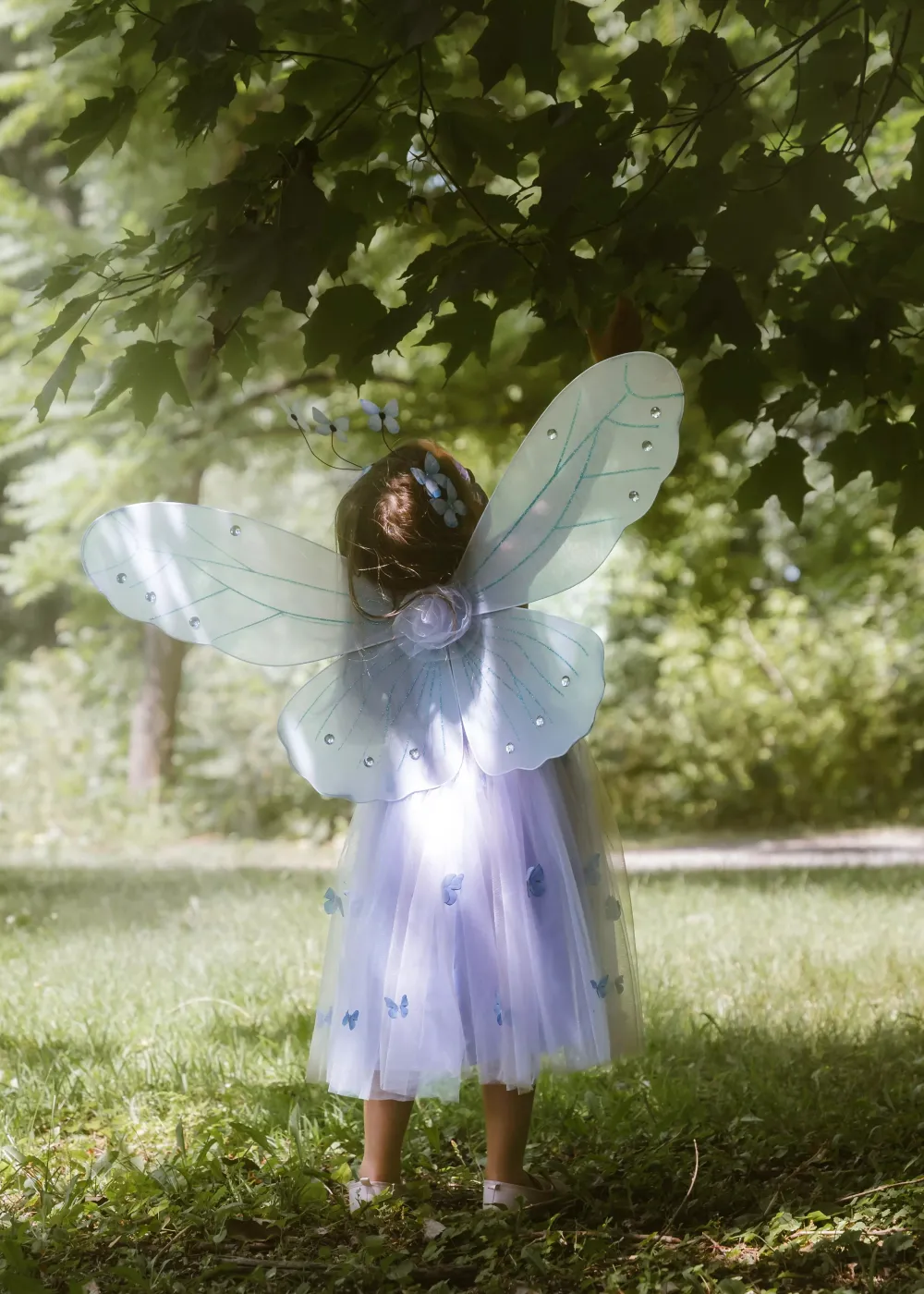 Coco Village Princess Butterfly Dress, Wings & Head