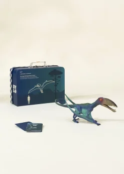Coco Village Pterosauria Dinosaur in a Collectible Box