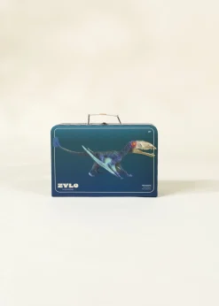 Coco Village Pterosauria Dinosaur in a Collectible Box