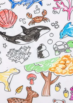 Coco Village Set of 4 Silicone Washable Coloring Placemats & Markers