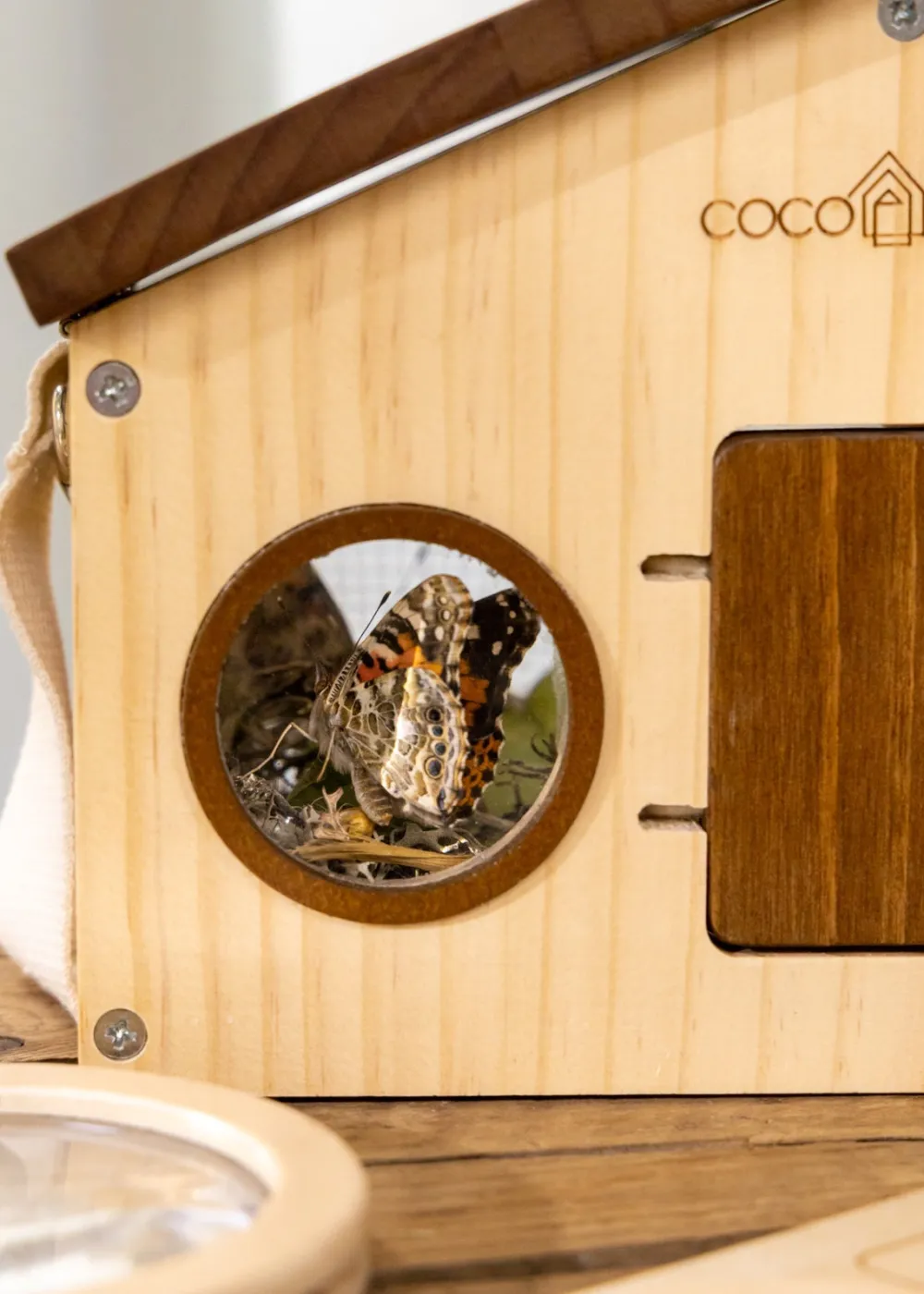 Coco Village Wooden Bug House & Exploration Set